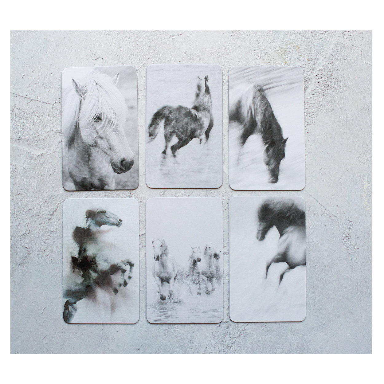 Limited Edition Equestrian Art Cards