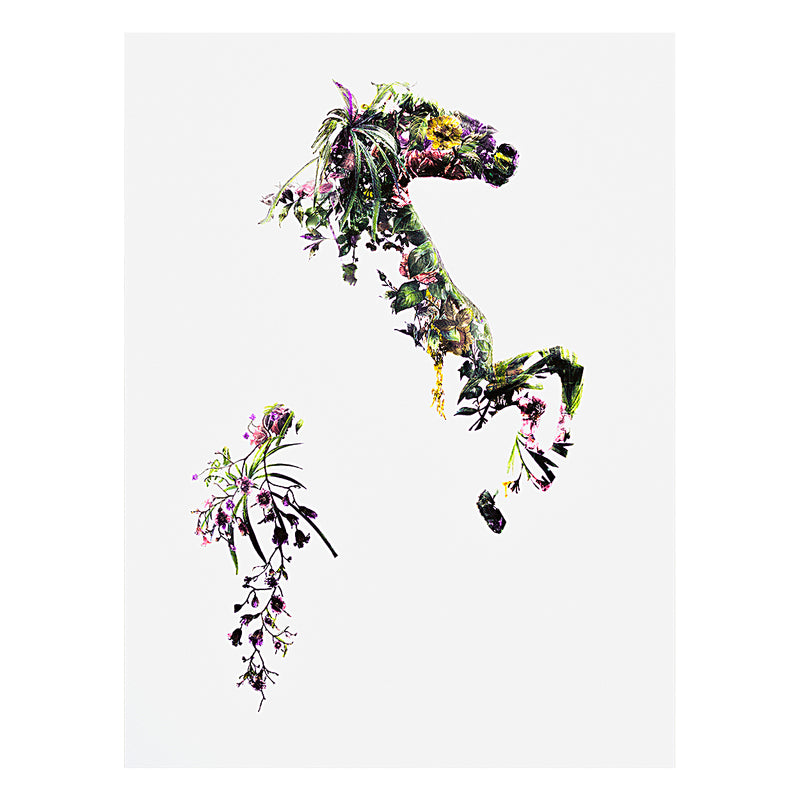 Flower Horse