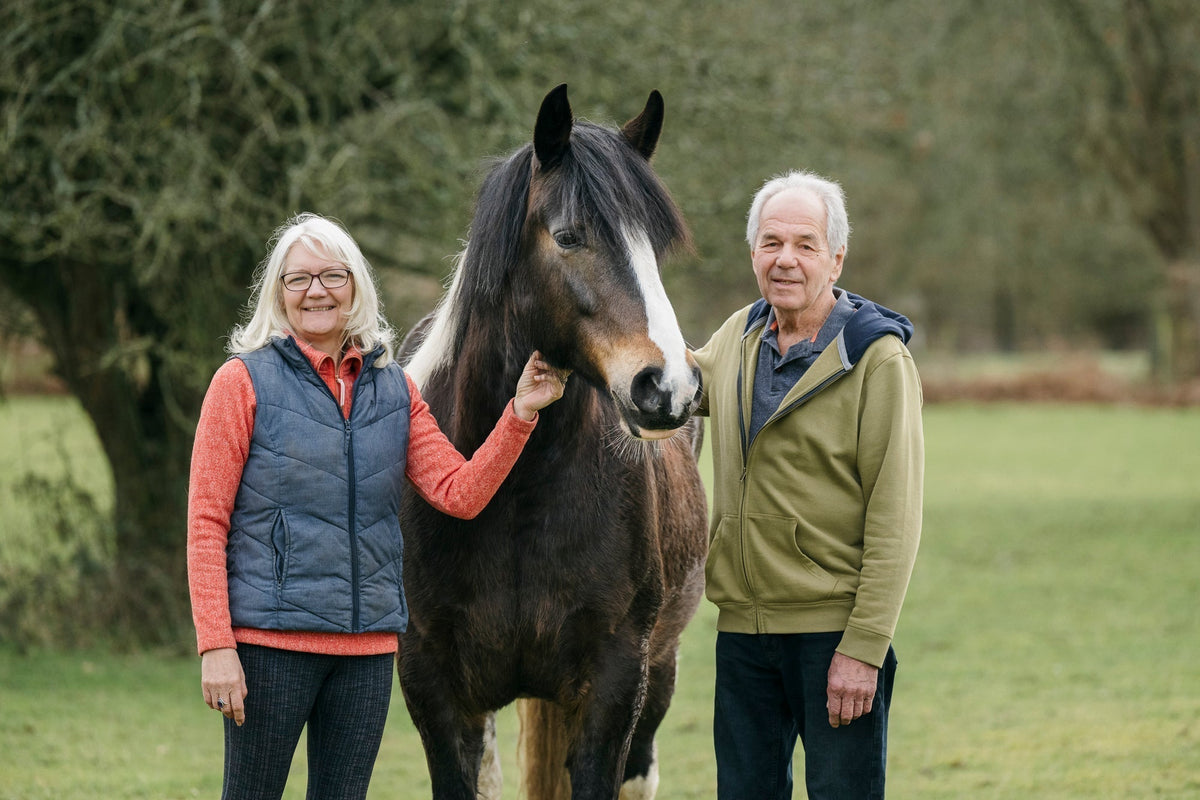 Julie Hanly – Equine Bodywork Practitioner