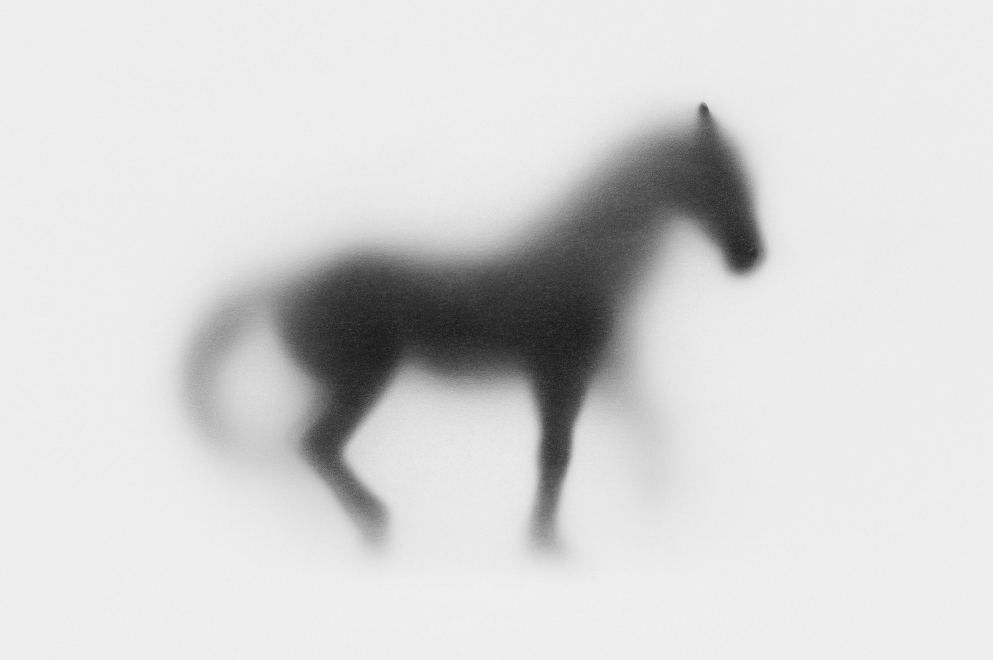 Shadow Horse Fine Art Photographic print