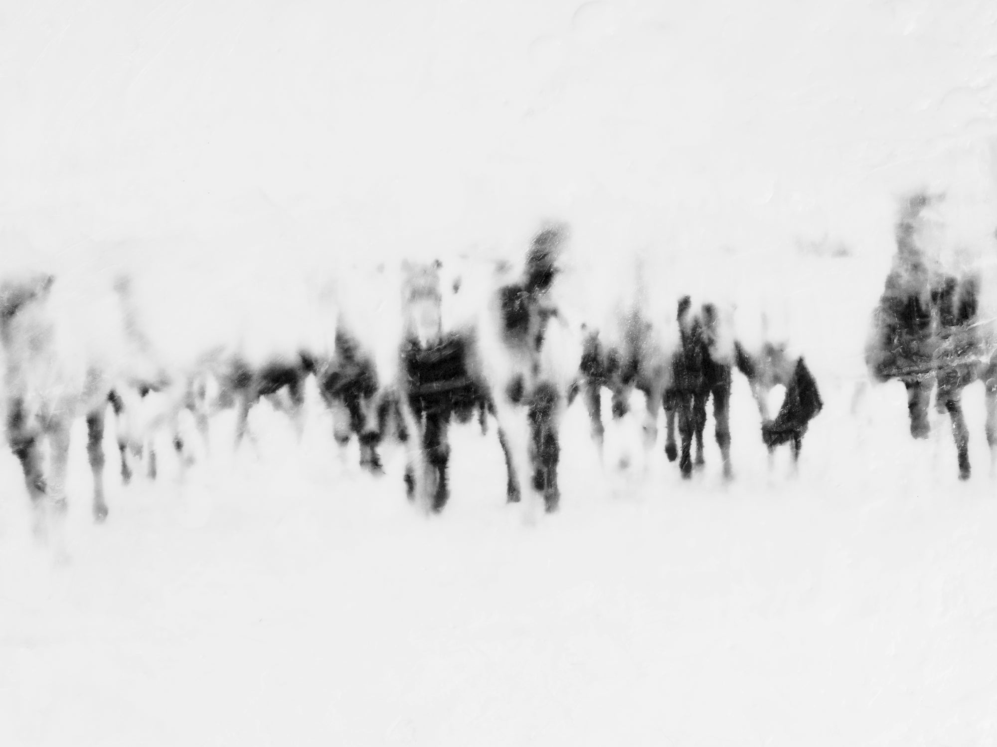 Equus Collection