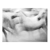 Carmargue Artful Abundance Collection - Set of 6 Prints
