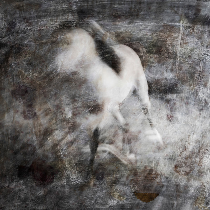Majestic Equus - Eternal