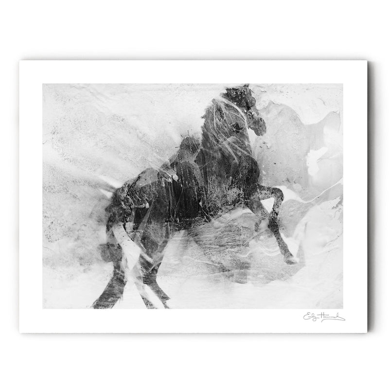 Ink Horse V