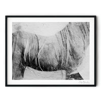 Ink Horse VI