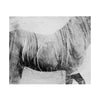 Ink Horse VI