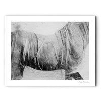 Ink Horse VI