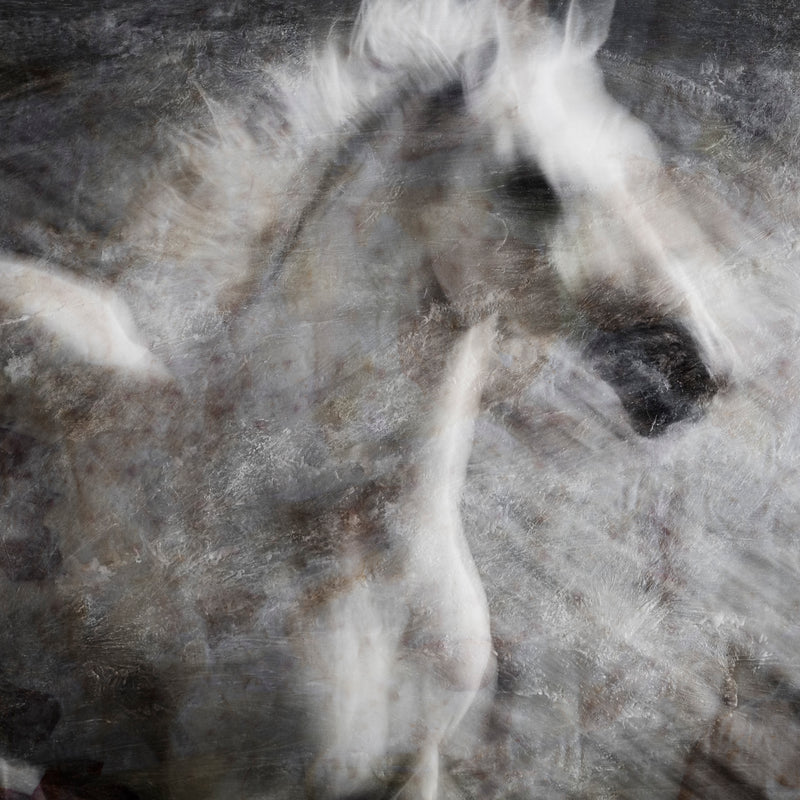 Majestic Equus - Power