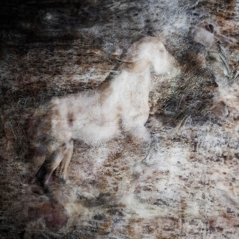 Majestic Equus - Wisper