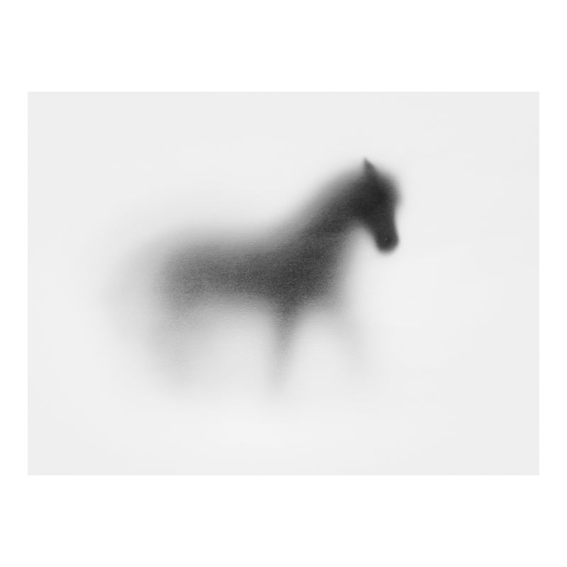 Shadow Horse II