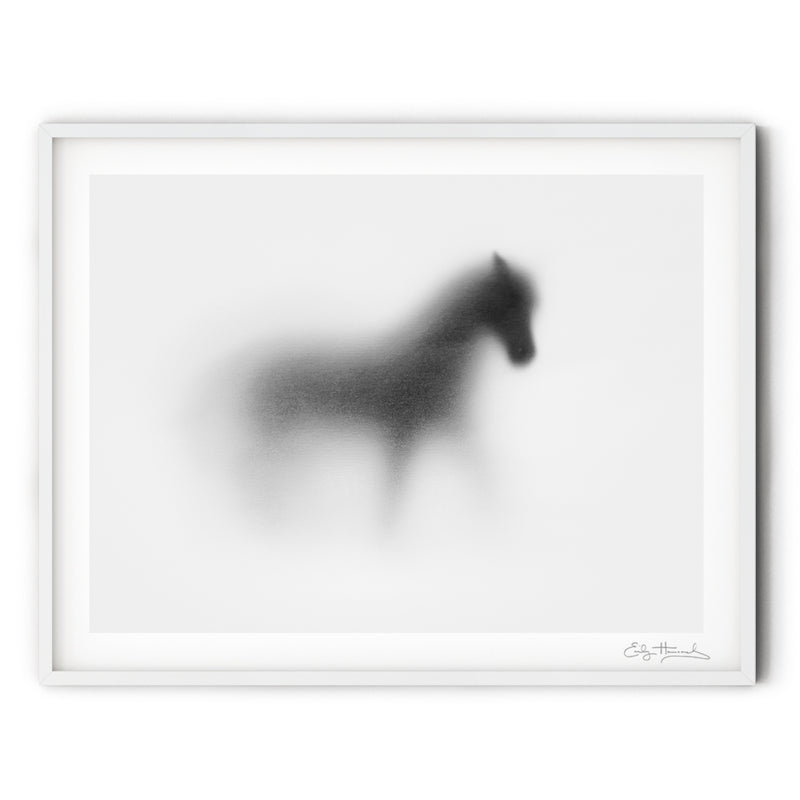 Shadow Horse II