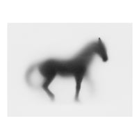 Shadow Horse